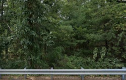 21 Summer St, Medway, MA 02053