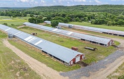 Wire Road, Mulberry, AR 72947