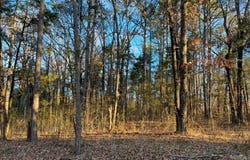 Clinton, AR 72031