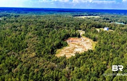 Pheasant Road, Gilbertown, AL 36908
