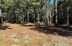 Owensville Rd, Milton, FL 32583