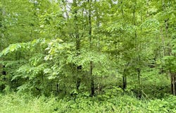 1350 Owens Branch Road, Dunnville, KY 42528