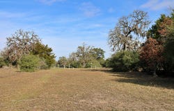 Parcel 4 Lobo Lane, Columbus, TX 78934