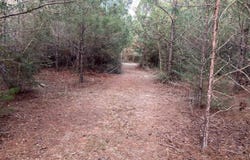 36581 Odom Rd, Dozier, AL 36028-9999