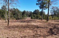 Polk Road 676, Mena, AR 71953