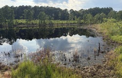 1481 County Road 8, Evergreen, AL 36401
