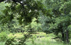 5 Acres Smith Rd, Texarkana, AR 71854