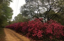 1 Lost Lunker Drive, Poplarville, MS 39470