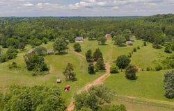 0000 TBD Silver Maple Road, Big Sandy, TX 75755