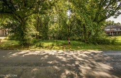 293 Dudala Way, Loudon, TN 37774