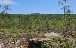 M10 L25 Cahoon Road, Chesterville, ME 04938