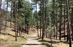 108 Maple Drive, Ruidoso, NM 88345