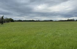 80 +/- Acres, Holt County, Inman, NE 68742
