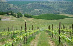 3455 THREE MILE Rd, TheDalles, OR 97058