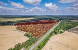 HOUGH FARM RD, Quincy, FL 32351