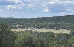 35 Burns Road, Concho, AZ 85924