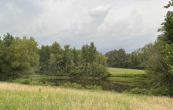 463 County Road 352, Piggott, AR 72454