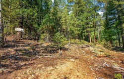 12907 S Cindy Ave, Pine, CO 80470