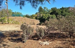 30000 MADISON Way, Val Verde, CA 91384