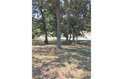 Pinkie Lane lot: 4A, Laurie, MO 65037