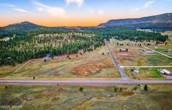440 2104, Alpine, AZ 85920