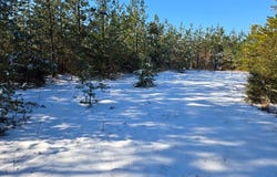 Tabscott Rd, Kents Store, VA 23084