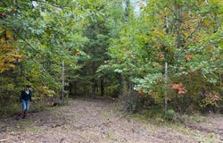 51181 Sand Creek Rd, Bruno, MN 55712