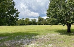 Holly View Ln., Loris, SC 29569