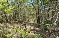 Sumac St, Interlachen, FL 32148