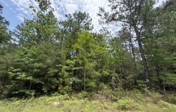 32531 Nicklaus Drive, Brookeland, TX 75931
