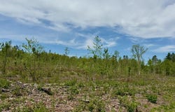 XYZ County Road 39, Willow River, MN 55795