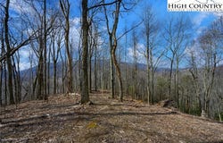 Raspberry Lane, Elk Park, NC 28622
