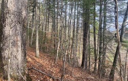 Gospel Drive, Sylva, NC 28779