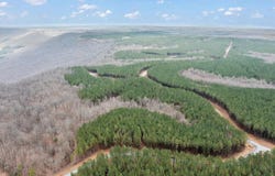 Moonlight Lane lot: Jf542, Jasper, TN 37347