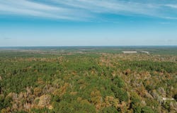 81 Road, Tinsman, AR 71631