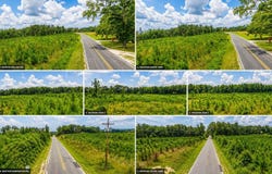 Horton Rollins Rd, Kershaw, SC 29067