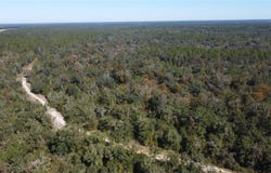 NE CHERVIL Drive, LEE, FL 32059