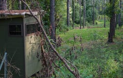County Road 1640, Jefferson, TX 75657