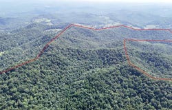 Wilsie Rd, Frametown, WV 26623