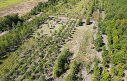 1195 Highway 570, Waterproof, LA 71375