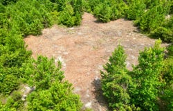 02 Count Road 1174, Goshen, AL 36079