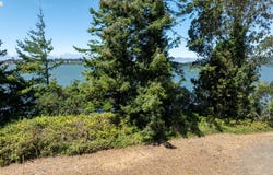 65294 E BAY Rd, NorthBend, OR 97459