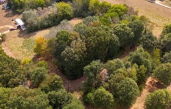 County Road 243, Florence, AL 35633