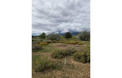 730 SE Pinyon Street, Cedaredge, CO 81413