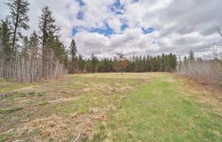 65th Avenue SW, Motley, MN 56466