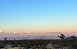 1010 Celeste Road, Joshua Tree, CA 92252