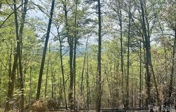 Mountain View Circle, Lenoir, NC 28645