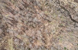 Center Hill Road, Weld, ME 04285