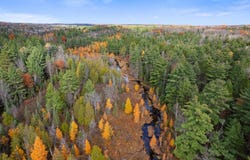 V/L Glenrose Drive, Wolverine, MI 49799