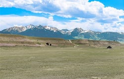 Cameron Drive lot: 40, Cameron, MT 59720